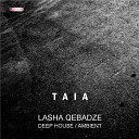 Lasha Qebadze & Rezi Bazieri - Enjoy Your Life (Original Mix)