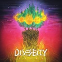 Diversity - The Closure