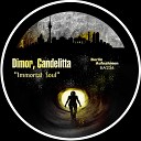 Dimor Candelitta - Immortal Soul Original Mix