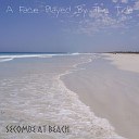 Secombe At Beach - Prisoner Of The Collective