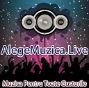 AlegeMuzica Live - Ioana Ignat Langa Ea Original Radio Edit