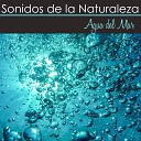 Sonidos Naturales Relax - Guitarra Cubana