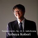 Nobuya Kobori - Phantasiest ke　 Aufschwung Op 12 2 Harpsichord…