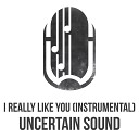 Uncertain Sound - I Really Like You Instrumental