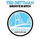Ted Dettman - Groove Is Bitch