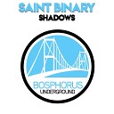 Saint Binary - Shadows Bagagee Viphex13 Remix