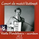 Vasile Pandelescu - M ndro Ce Mult Te Am Iubit