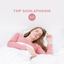 Ruhigen Schlaf Akademie - V gel und Meeresmusik