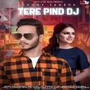 sunny sandhu - Tere Pind DJ