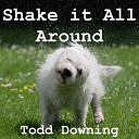 Todd Downing - Shake It All Around