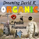 dreaming david k organic - Rock N Roll Heaven