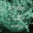 Atom - Percept Original Mix