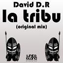 David D R - La Tribu Original Mix