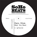 Paro Dion - What You Need Original Mix