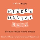 Johann Sebastian Bach - Suite in D Minor BWV 1008 III Courante