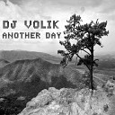 Dj Volik - Night On Earth Original Mix