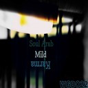 Soul Arab - Mild Carma Original Mix
