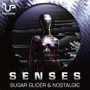 Nostalgic Sugar Glider - Senses Original Mix