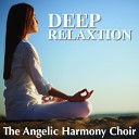 The Angelic Harmony Choir - Bach JS Fugue in D minor BWV 108