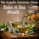 The Angelic Harmony Choir - Bach JS Air from the Suite No 3 in D major BWV…