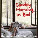 The Angelic Harmony Choir - Bach JS Allegro