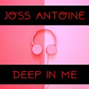 Joss Antoine - Fly in the Sky