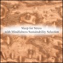 Mindfulness Sustainability Selection - Thursday Contingency Map Original Mix