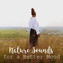 Rest Relax Nature Sounds Artists Nature Sounds Relaxing… - Song of Calm Down