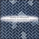 Mindfulness Sustainability Laboratory - Pascal Relaxation Original Mix