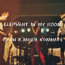 Elephant In My Room - Полшестого