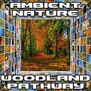 Ambient Nature - Woodland Pathway Original