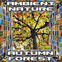 Ambient Nature - Autumn Forest Original