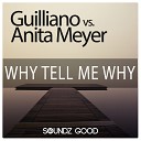 03 Guilliano Anita Meyer - Why Tell Me Why Guilliano CJ Stone Remix