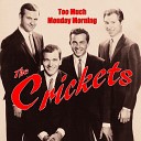 The Crickets - I Had a Dream