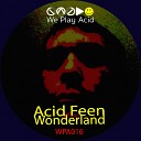 Acid Feen - Wonderland Stod lky Ghetto Mix