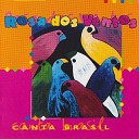 Canta Brasil - O Romance