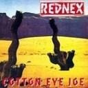 Rednex - Cotton eye Joe Pasha Sheiv Remix