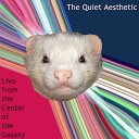 The Quiet Aesthetic - Orthosie