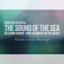 Natural Recordings - Seawaves On The Beach Long Edit
