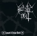 Hellvetic Frost - Towards a Distant World