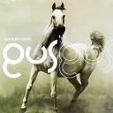 Gus Gus - Arabian Horse DJ Sunshine amp DJ Pink Cream…