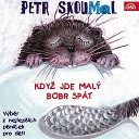 Petr Skoumal - O Radosti