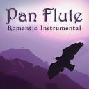 Pan Flute - Colours of the Wind Instrumental