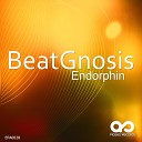 BeatGnosis - Endorphin Original Mix
