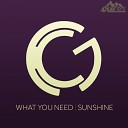 Karl G - What You Need Original Mix