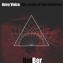 Anvy Voice - The Scale of the Universe