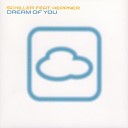 Schiller Feat Heppner - dream of you ayla remix