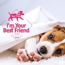 I m Your Best Friend - Bach Orchestral Suite No 3 In D Major BWV 1068 II Air On The G…