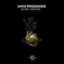 David Perezgrueso - El Sendero Loco Original Mix