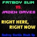 Fatboy Slim vs Jaden Daves - Right Here Right Now Andrey Gorkin Mash Up